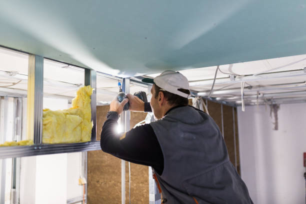 Best Fiberglass Insulation  in Milan, MO