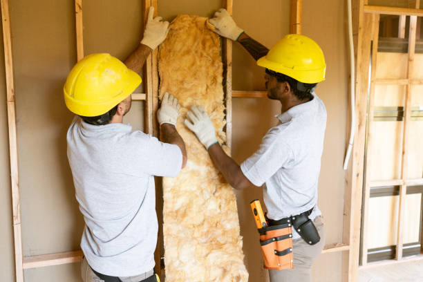 Best Soundproof Insulation Installation  in Milan, MO