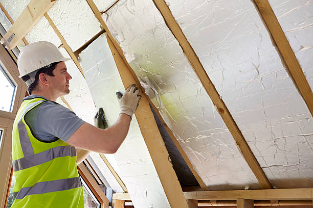 Best Insulation Removal Services  in Milan, MO