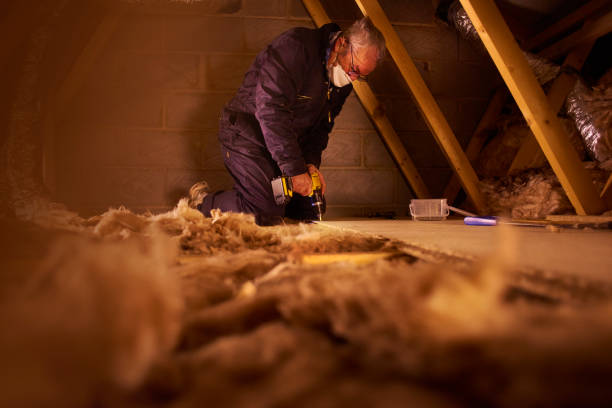 Best Energy-efficient Insulation  in Milan, MO